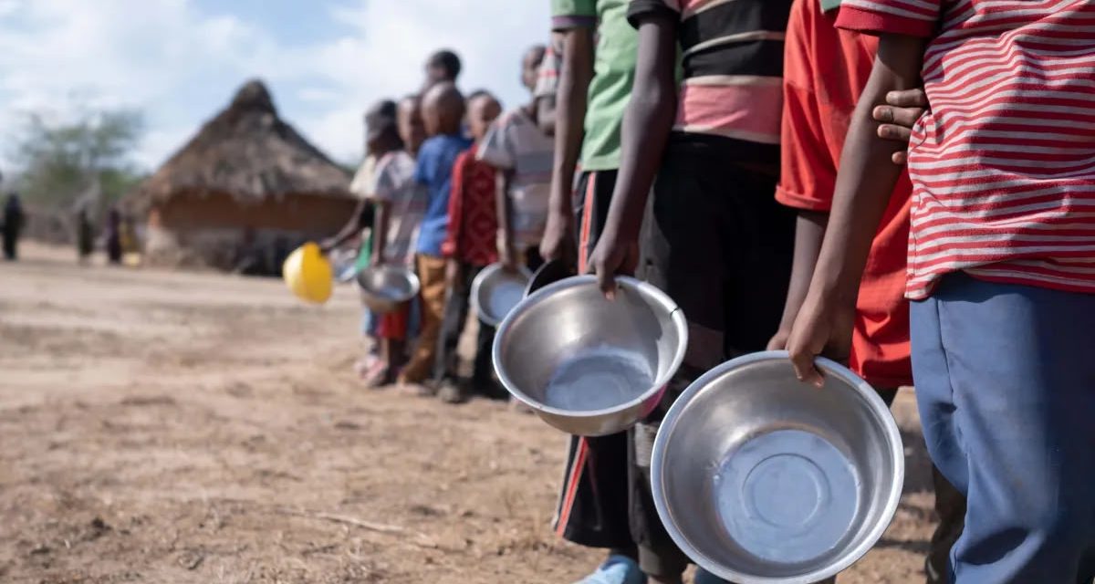 ONU REPORTA 645 MILLONES CON HAMBRE EN EL MUNDO Y DESTACA AVANCE EN LATINOAMÉRICA