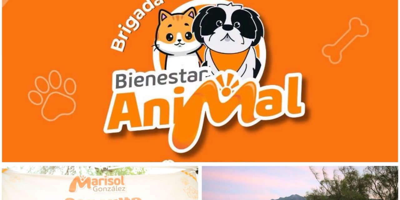 MARISOL GONZÁLEZ MANTIENE EL TRABAJO EN BIENESTAR ANIMAL CON BRIGADAS GRATUITAS EN SANTA CATARINA