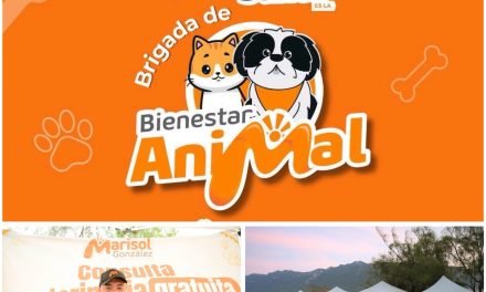 MARISOL GONZÁLEZ MANTIENE EL TRABAJO EN BIENESTAR ANIMAL CON BRIGADAS GRATUITAS EN SANTA CATARINA