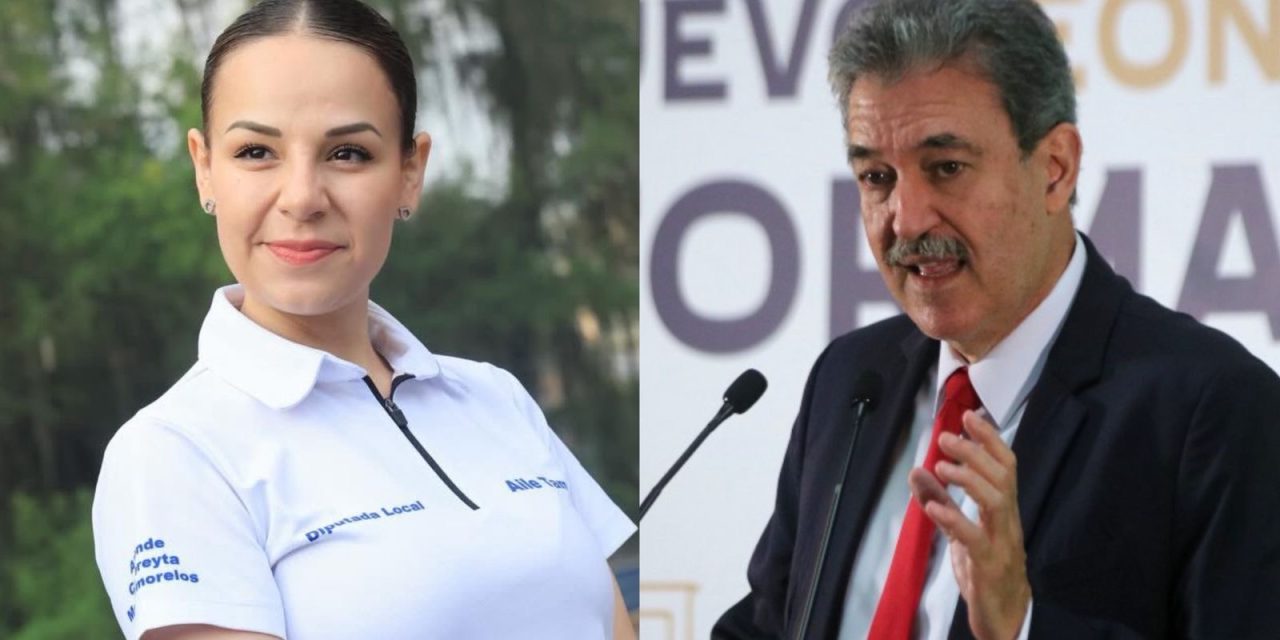 Aile Tamez: ¡elefante a la vista!