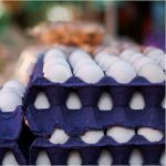 PRECIO DEL HUEVO SE DISPARA EN MÉXICO Y MARCA MÁXIMO HISTÓRICO EN DOS DÉCADAS