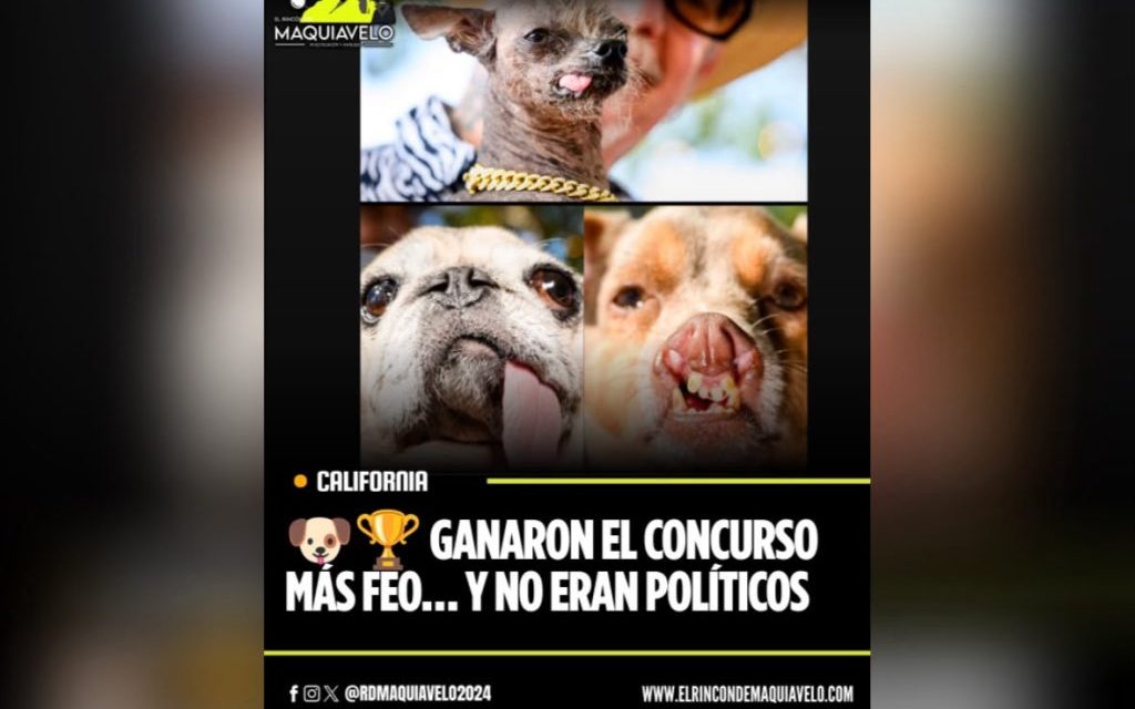 GANARON EL CONCURSO MÁS FEO… Y NO ERAN POLÍTICOS