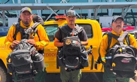 BRIGADA FÉNIX DE PROTECCIÓN CIVIL NUEVO LEÓN REFUERZA COMBATE A INCENDIOS FORESTALES EN CANADÁ