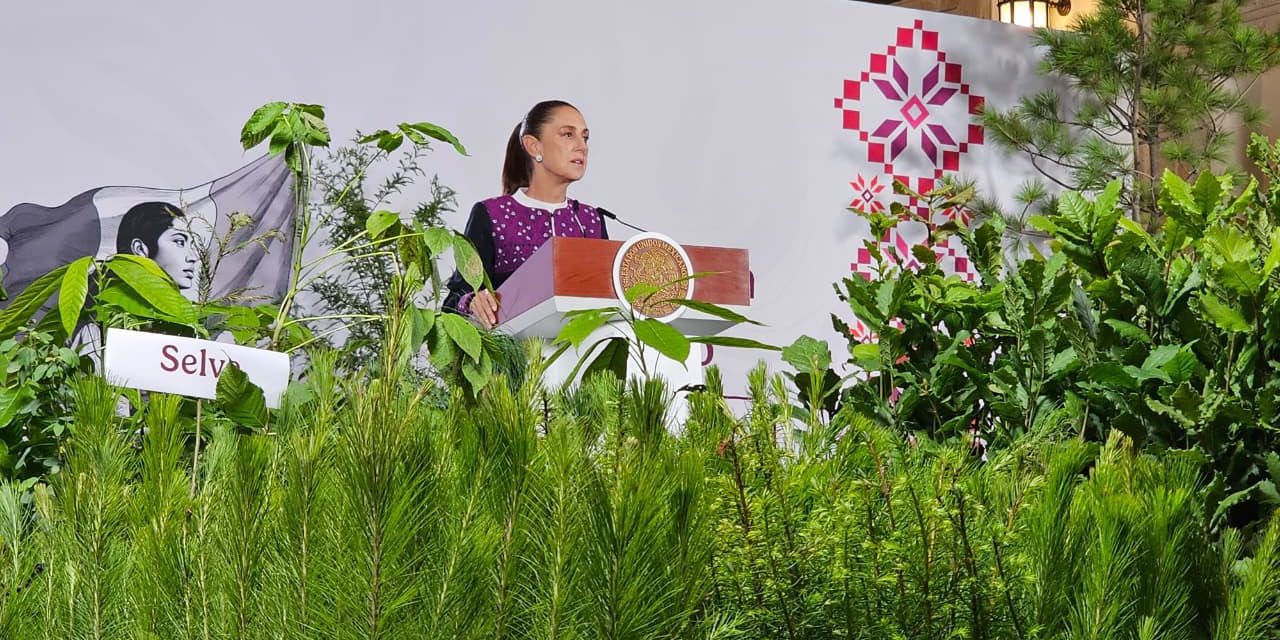GOBIERNO FEDERAL ANUNCIA JORNADA NACIONAL PARA SEMBRAR 6,6 MILLONES DE ÁRBOLES