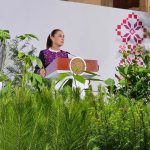 GOBIERNO FEDERAL ANUNCIA JORNADA NACIONAL PARA SEMBRAR 6,6 MILLONES DE ÁRBOLES