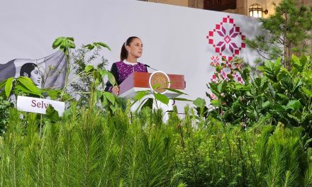 GOBIERNO FEDERAL ANUNCIA JORNADA NACIONAL PARA SEMBRAR 6,6 MILLONES DE ÁRBOLES