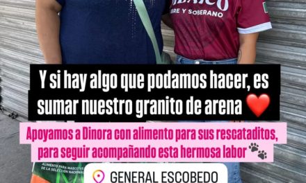 ANYLÚ BENDICIÓN APOYA A VECINA QUE RESCATA PERROS Y GATOS EN ESCOBEDO