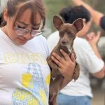 JOSÉ ANTONIO QUIROGA LLEVA JORNADA DE ESTERILIZACIÓN GRATUITA A MÁS DE 250 MASCOTAS EN ESCOBEDO
