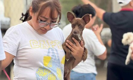 JOSÉ ANTONIO QUIROGA LLEVA JORNADA DE ESTERILIZACIÓN GRATUITA A MÁS DE 250 MASCOTAS EN ESCOBEDO