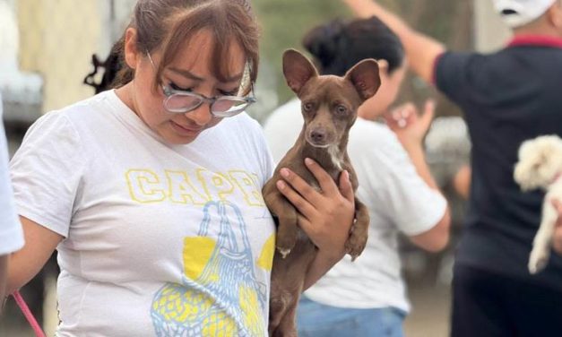JOSÉ ANTONIO QUIROGA LLEVA JORNADA DE ESTERILIZACIÓN GRATUITA A MÁS DE 250 MASCOTAS EN ESCOBEDO