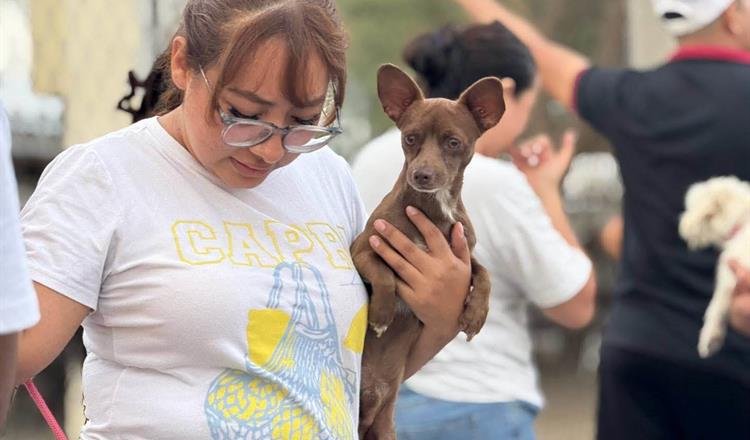 JOSÉ ANTONIO QUIROGA LLEVA JORNADA DE ESTERILIZACIÓN GRATUITA A MÁS DE 250 MASCOTAS EN ESCOBEDO