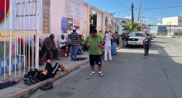 ABANDONO DE PERROS EN MÉXICO AUMENTA 20 POR CIENTO ANUAL DESDE LA PANDEMIA