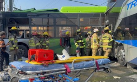 NUEVO LEÓN MANTIENE EL PRIMER LUGAR NACIONAL EN ACCIDENTES VIALES