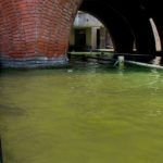 PASEO SANTA LUCÍA CUMPLE 19 AÑOS ENTRE EL ORGULLO REGIO Y SEÑALES DE DETERIORO