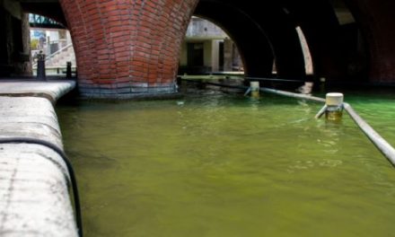 PASEO SANTA LUCÍA CUMPLE 19 AÑOS ENTRE EL ORGULLO REGIO Y SEÑALES DE DETERIORO