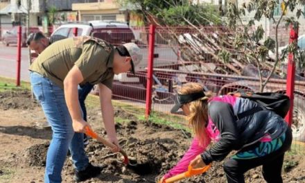 ESCOBEDO SE ACERCA A SU META AMBIENTAL CON 26 MIL ÁRBOLES PLANTADOS