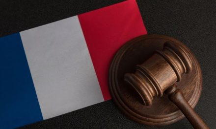 FRANCIA FRENA PROHIBICIÓN DE REDES SOCIALES PARA MENORES DE 15 AÑOS