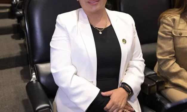 FALLECE ANAY BELTRÁN REYES, DIPUTADA FEDERAL DE MORENA