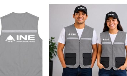 EL INE CAMBIA NUEVAMENTE DE COLOR AHORA SERÁ GRIS (COMO CUANDO ERA EL IFE)