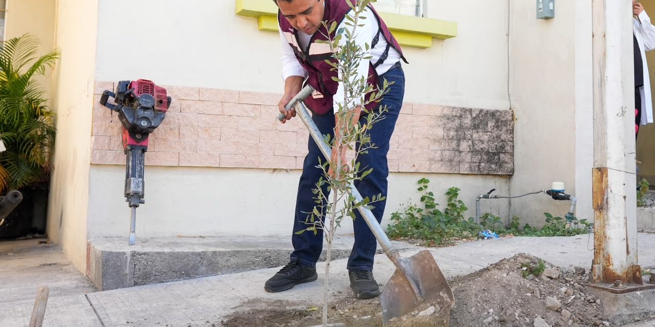 JESÚS NAVA ENTREGA ÁRBOLES NATIVOS Y FRUTALES A FAMILIAS DE SANTA CATARINA