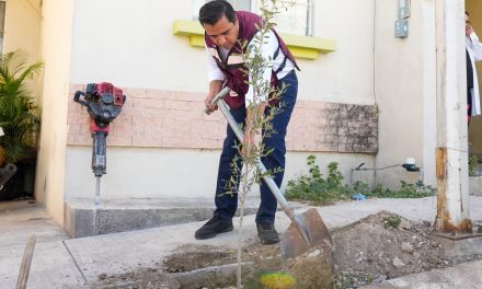 JESÚS NAVA ENTREGA ÁRBOLES NATIVOS Y FRUTALES A FAMILIAS DE SANTA CATARINA