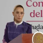 SHEINBAUM DESCARTA FIN DEL T-MEC PESE A NEGOCIACIONES SEPARADAS CON ESTADOS UNIDOS