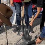 MONTERREY SUMA 120 ÁRBOLES NATIVOS A LA REFORESTACIÓN DE PARQUE LAGO