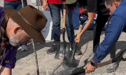MONTERREY SUMA 120 ÁRBOLES NATIVOS A LA REFORESTACIÓN DE PARQUE LAGO