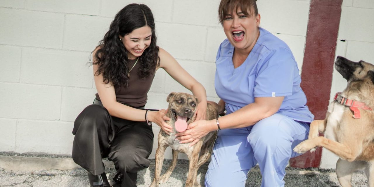 DEYA MARTÍNEZ PROMUEVE LA ESTERILIZACIÓN DE MÁS DE 90 MASCOTAS EN ZUAZUA