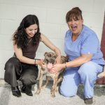 DEYA MARTÍNEZ PROMUEVE LA ESTERILIZACIÓN DE MÁS DE 90 MASCOTAS EN ZUAZUA