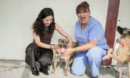 DEYA MARTÍNEZ PROMUEVE LA ESTERILIZACIÓN DE MÁS DE 90 MASCOTAS EN ZUAZUA