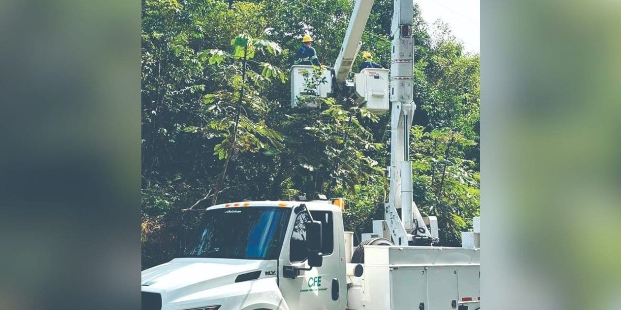 FALTA DE PODA PREVENTIVA DE ÁRBOLES AGRAVA APAGONES EN LA ZONA METROPOLITANA II
