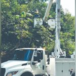 FALTA DE PODA PREVENTIVA DE ÁRBOLES AGRAVA APAGONES EN LA ZONA METROPOLITANA II