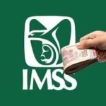 SCJN AMPLÍA LA PROTECCIÓN DE PENSIONES DEL IMSS PARA CONCUBINAS Y OTROS BENEFICIARIOS