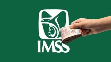 SCJN AMPLÍA LA PROTECCIÓN DE PENSIONES DEL IMSS PARA CONCUBINAS Y OTROS BENEFICIARIOS