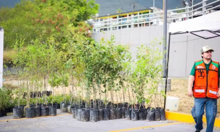 RAÚL LOZANO IMPULSA LA REFORESTACIÓN Y LA RECUPERACIÓN DE ÁREAS VERDES EN NUEVO LEÓN