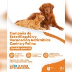 DAVID SÁNCHEZ FOMENTA CAMPAÑA GRATUITA DE ESTERILIZACIÓN Y VACUNACIÓN PARA MASCOTAS EN GENERAL TERÁN