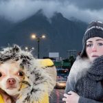 ALERTAN POR LLUVIAS, VIENTOS FUERTES Y DESCENSO DE TEMPERATURA EN NUEVO LEÓN.