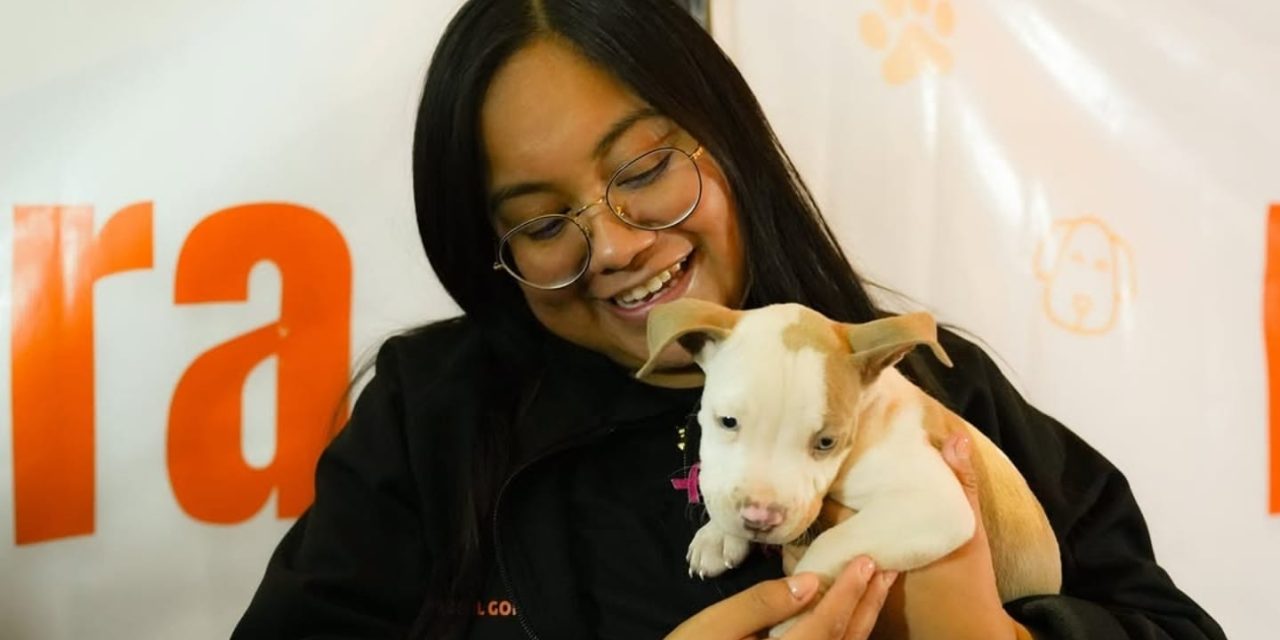 MARISOL GONZÁLEZ ELIAS ACERCA BRIGADAS GRATUITAS DE BIENESTAR ANIMAL A SANTA CATARINA