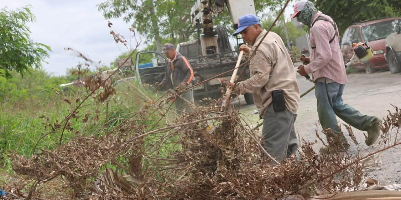 DAVID SÁNCHEZ IMPULSA EL EMBELLECIMIENTO DE LOS ACCESOS A GENERAL TERÁN