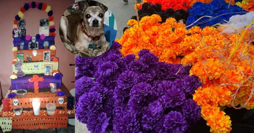 MASCOTAS TAMBIÉN SON RECORDADAS CON ALTARES EN EL DÍA DE MUERTOS.