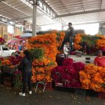 PAN DE MUERTO Y CEMPASÚCHIL DEJARÁN DERRAMA SUPERIOR A 3 MIL MDP