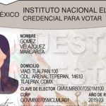 INE PONDRÁ BAJO REVISIÓN CONTRATO PARA FABRICAR CREDENCIALES DE ELECTOR