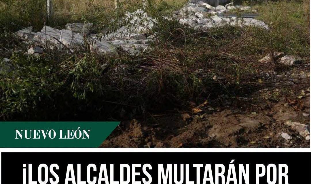 ¡LOS ALCALDES MULTARÁN POR LA MALEZA!, ¿Y QUIÉN LOS MULTARÁ A ELLOS?