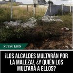 ¡LOS ALCALDES MULTARÁN POR LA MALEZA!, ¿Y QUIÉN LOS MULTARÁ A ELLOS?