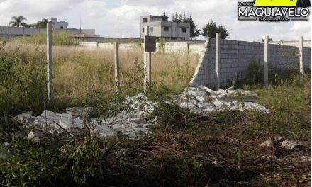 ¡LOS ALCALDES MULTARÁN POR LA MALEZA!, ¿Y QUIÉN LOS MULTARÁ A ELLOS?