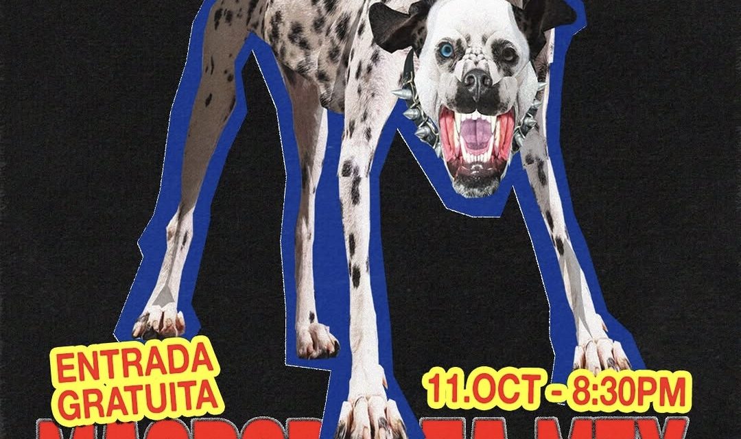 NSQK DESATA LA LOCURA Y REÚNE A UNA MULTITUD EN LA MACROPLAZA