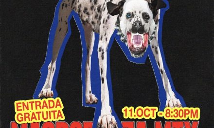 NSQK DESATA LA LOCURA Y REÚNE A UNA MULTITUD EN LA MACROPLAZA