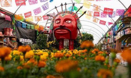 ATLIXCO CONVIERTE EL MICTLÁN EN UNA RUTA ENTRE CAMPOS DE CEMPASÚCHIL
